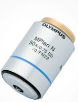 mpln-white.png